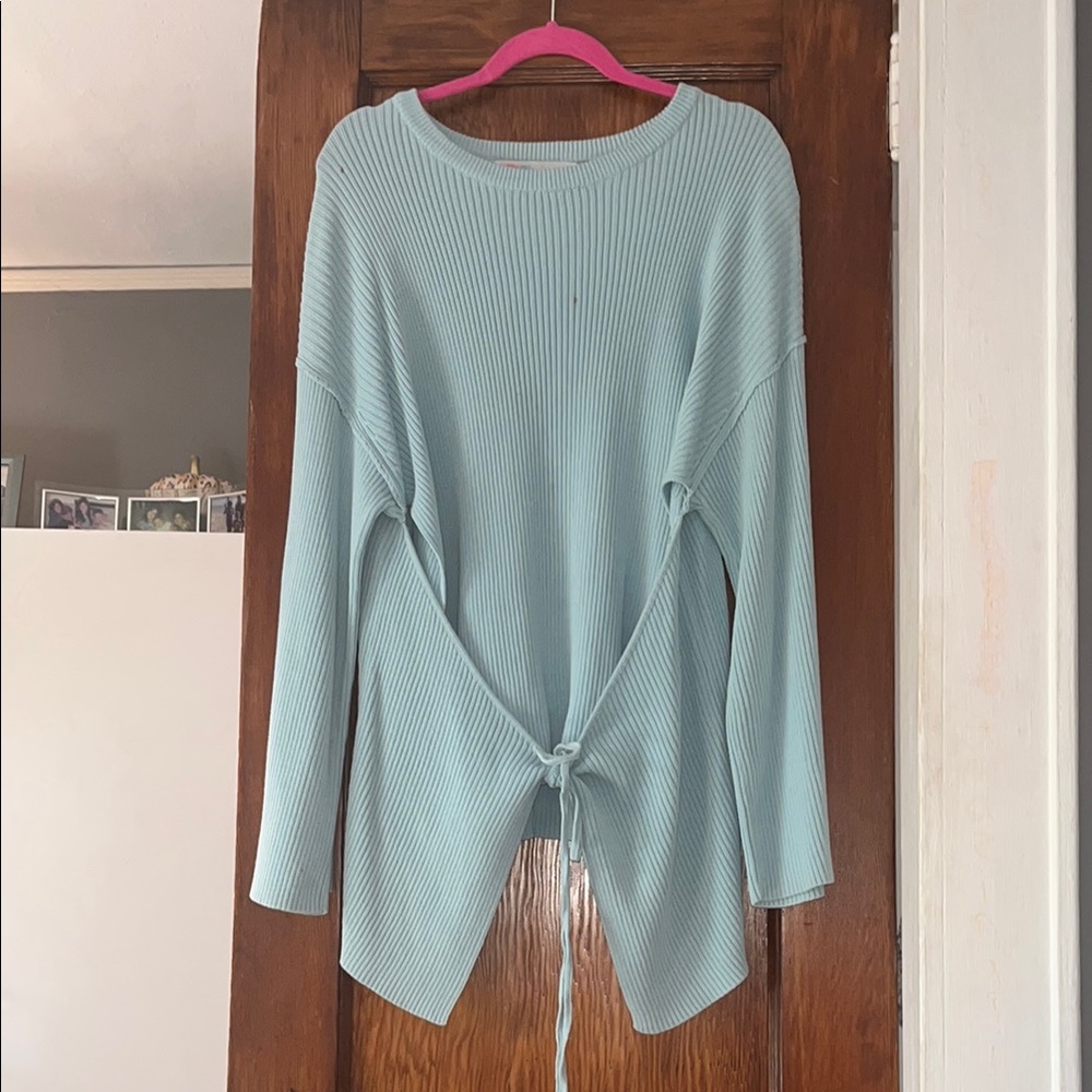 Free People Light Blue Crew Neck Sweater